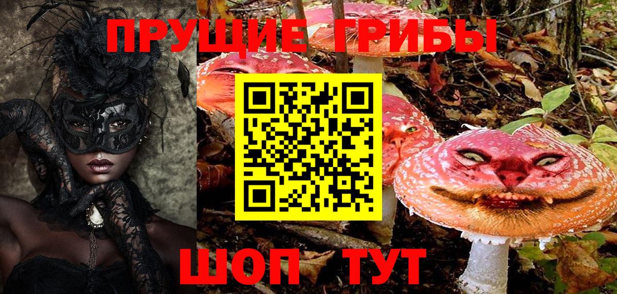 Псилоцибиновые грибы ЛСД Курчалой